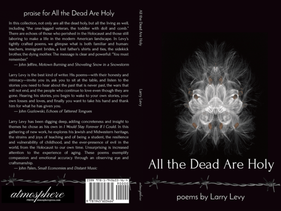 Levy Cover Project.jpg