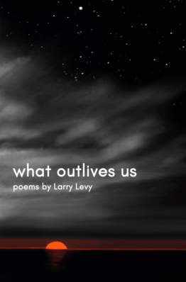 What Outlives Us Cover Project front png