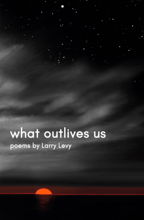 What Outlives Us Cover Project front png