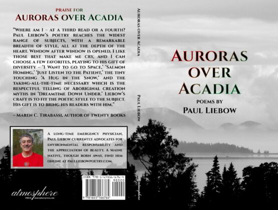 Liebow Cover Aurora