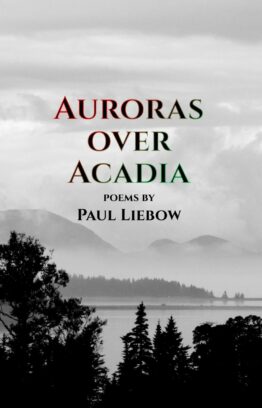 Liebow Cover Aurora front