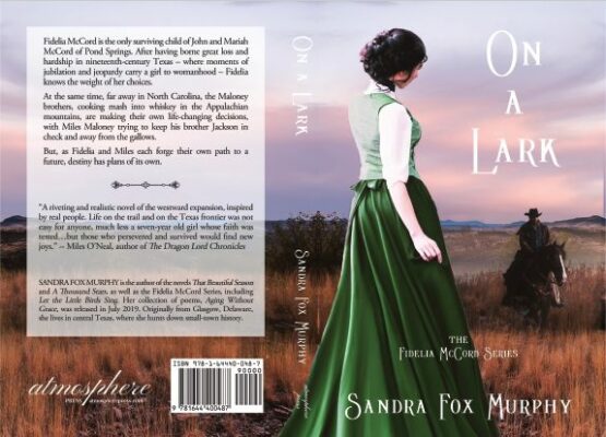 On a Lark full cover