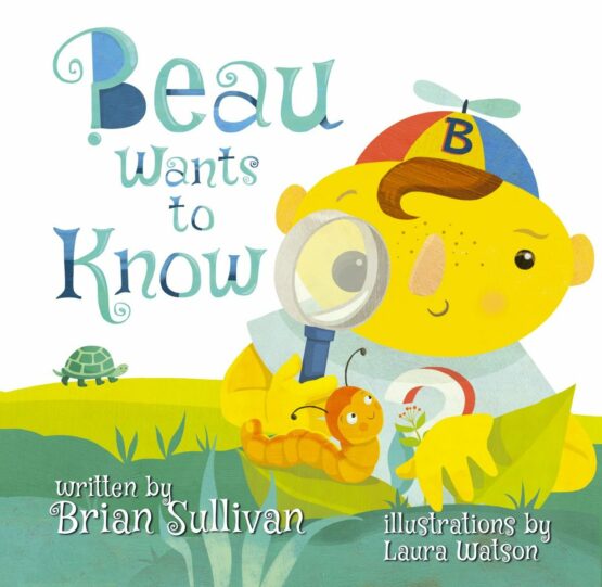 Sullivan Cover Project front