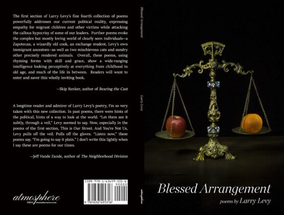 Levy Cover Project full jpg scaled