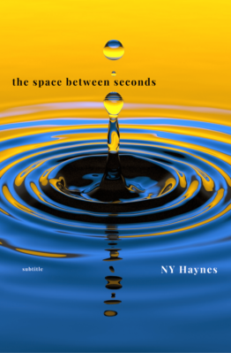 Haynes Cover Project front jpg