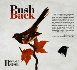 Rose Cover Project front
