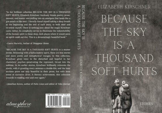 Kirschner Cover Project full jpg scaled 1