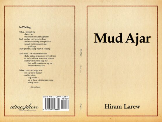 Larew Cover Project full jpg