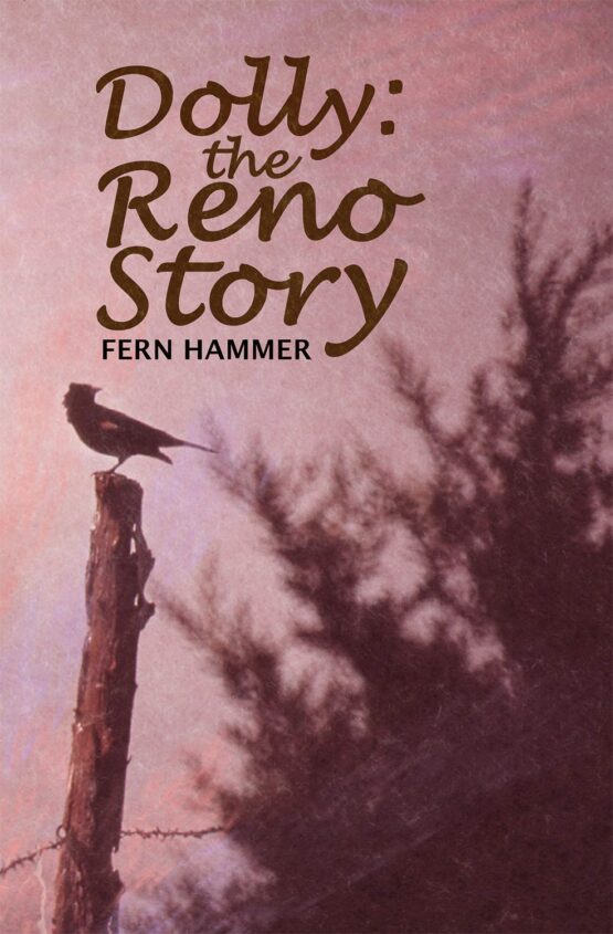 Hammer Cover Project front jpg