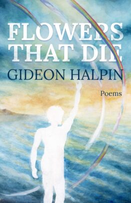 Halpin Cover Project front jpg scaled