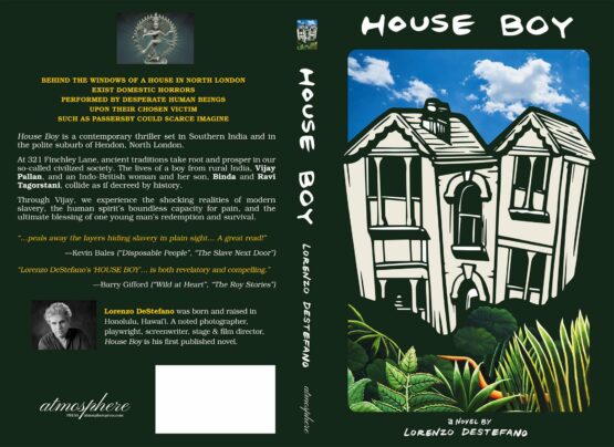 DeStefano Cover Project full jpg scaled