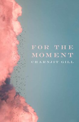 Gill Cover Project front jpg scaled