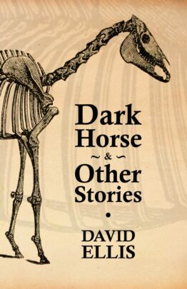 Ellis Dark Horse Cover Project front jpg scaled