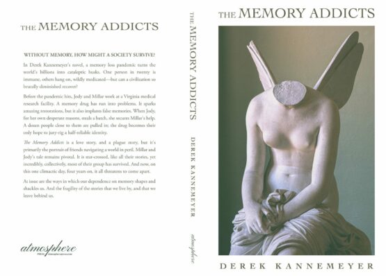 Kannemeyer Cover Project full jpg scaled