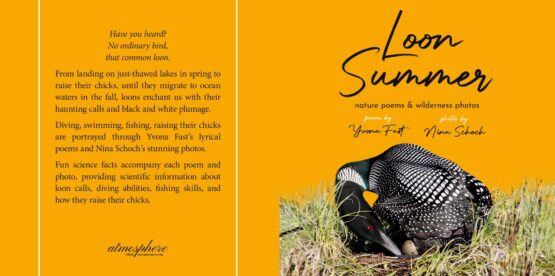 Fast Cover Project full jpg scaled