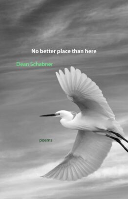 Schabner Cover Project front jpg scaled