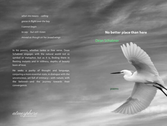 Schabner Cover Project full jpg scaled