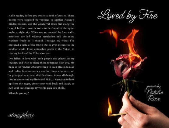 Schweiger Cover Project full jpg scaled