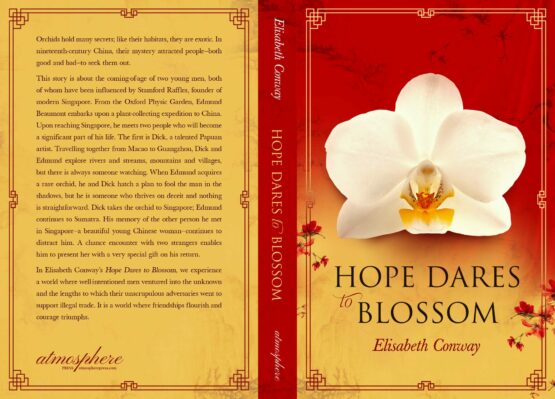 Conway Hope Cover Project full jpg scaled