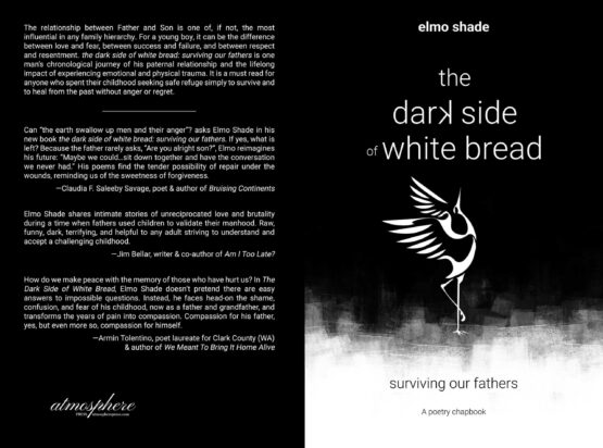 Shade Dark Cover Project full jpg scaled