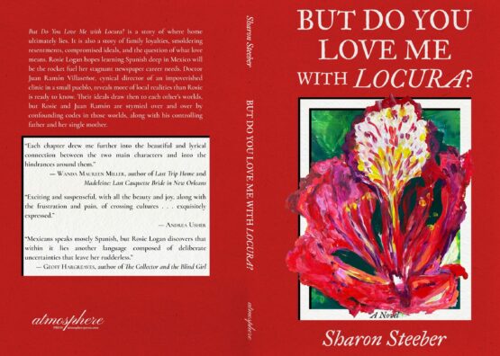 Steeber Cover Project full jpg scaled