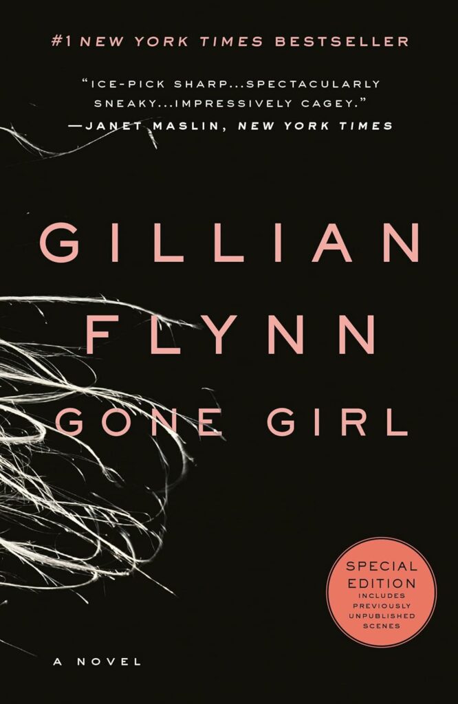 multiple pov books gone girl