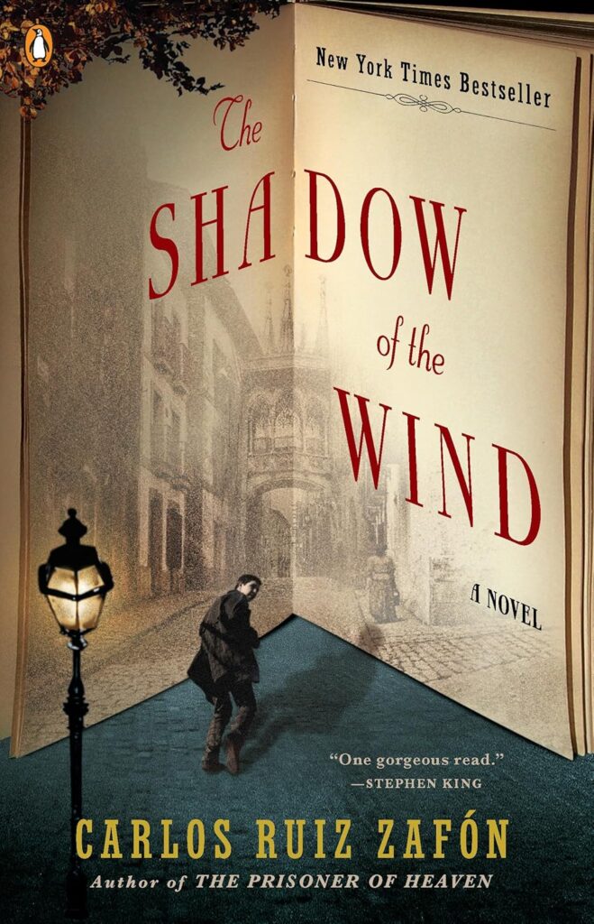 shadow of the wind - books with romance subplots